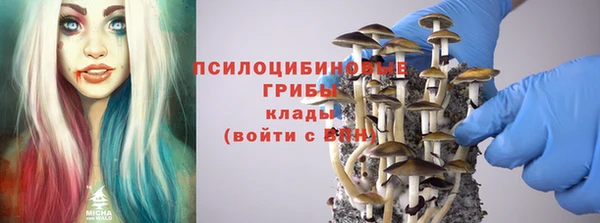 соль курить ск Алзамай
